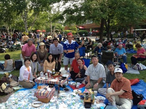 Ravinia.jpg